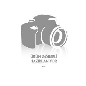 AZOT BASINÇ REGÜLATÖRÜ